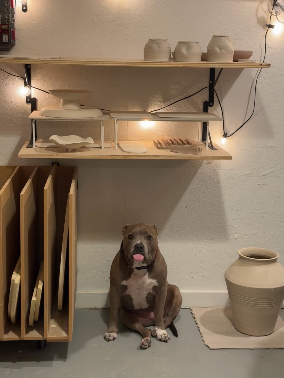 Studio dog sitting beside shelves of unfinished pottery and a large ceramic vase