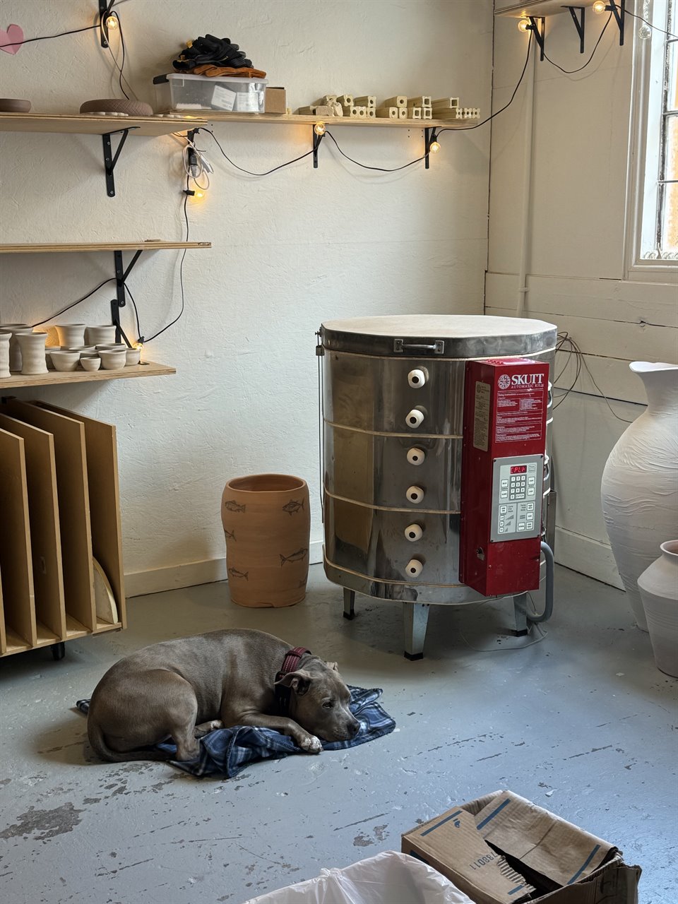 Skutt kiln in the studio with shelves of pottery and the studio dog resting nearby